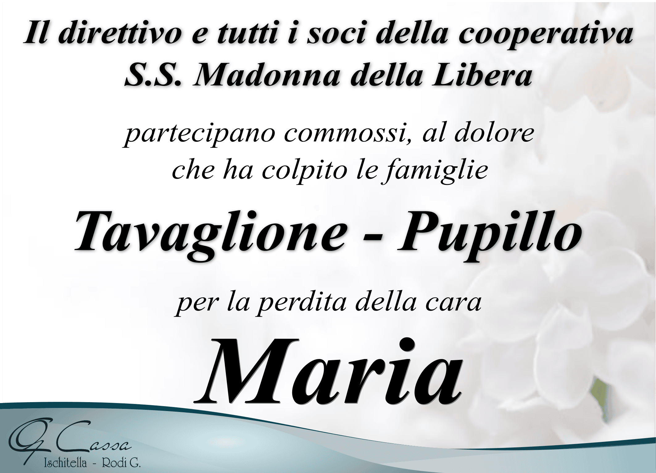 cooperativa MADONNA DELLA LIBERA ISCHITELLA